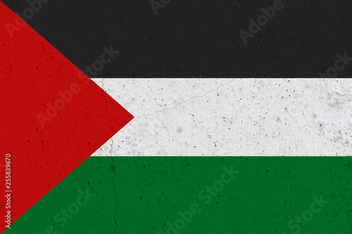 Photography palestine flag on concrete wall