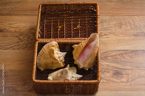 Open Basket with seashells