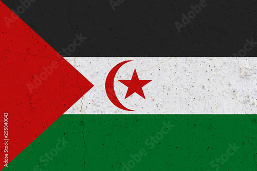 Sahrawi Arab Democratic Republic flag on concrete wall