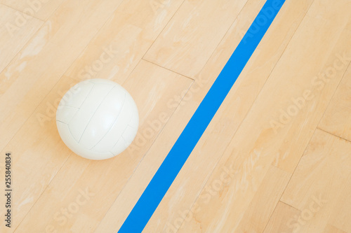 Volleyball near the blue line