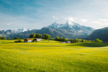 Acrylglasbilder Orange Idyllic landscape in the Alps with blooming meadows in springtime  © JFL Photography