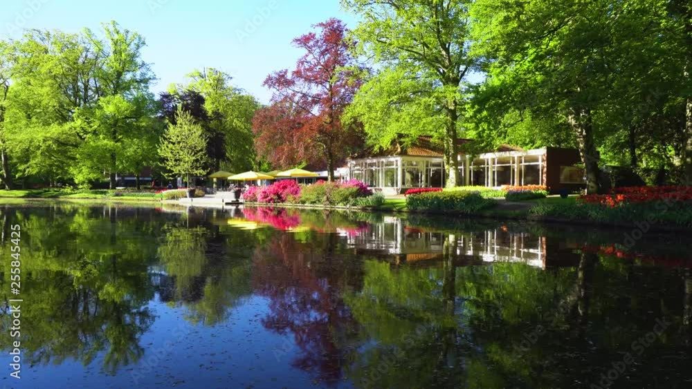 spring pond in park spring pond in park