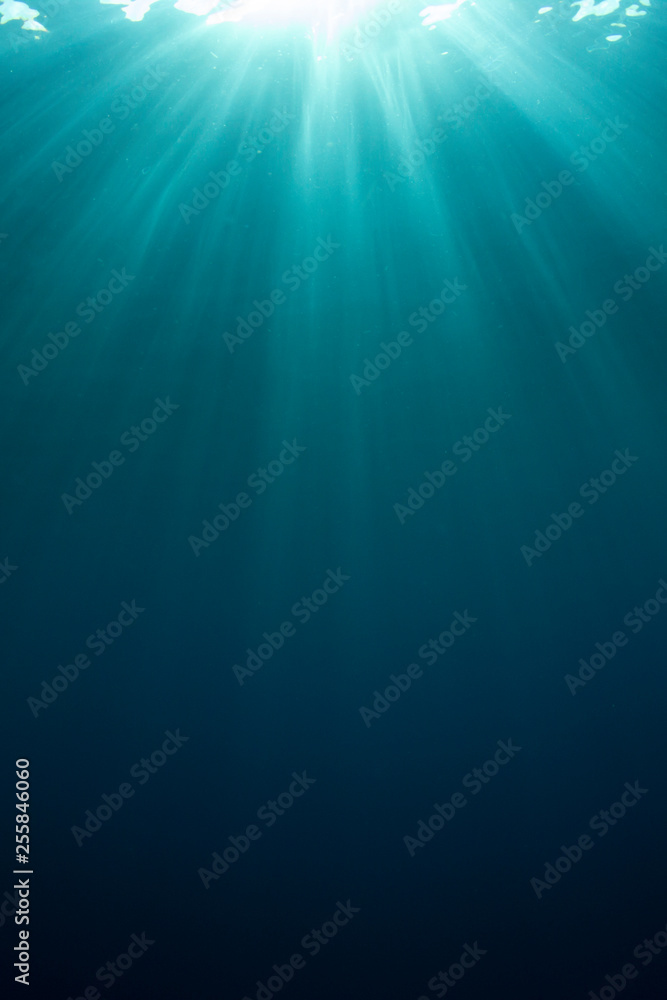 Underwater background in ocean 