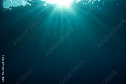 Underwater background in ocean 