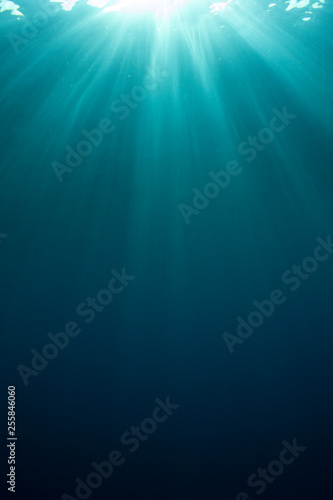 Underwater background in ocean 