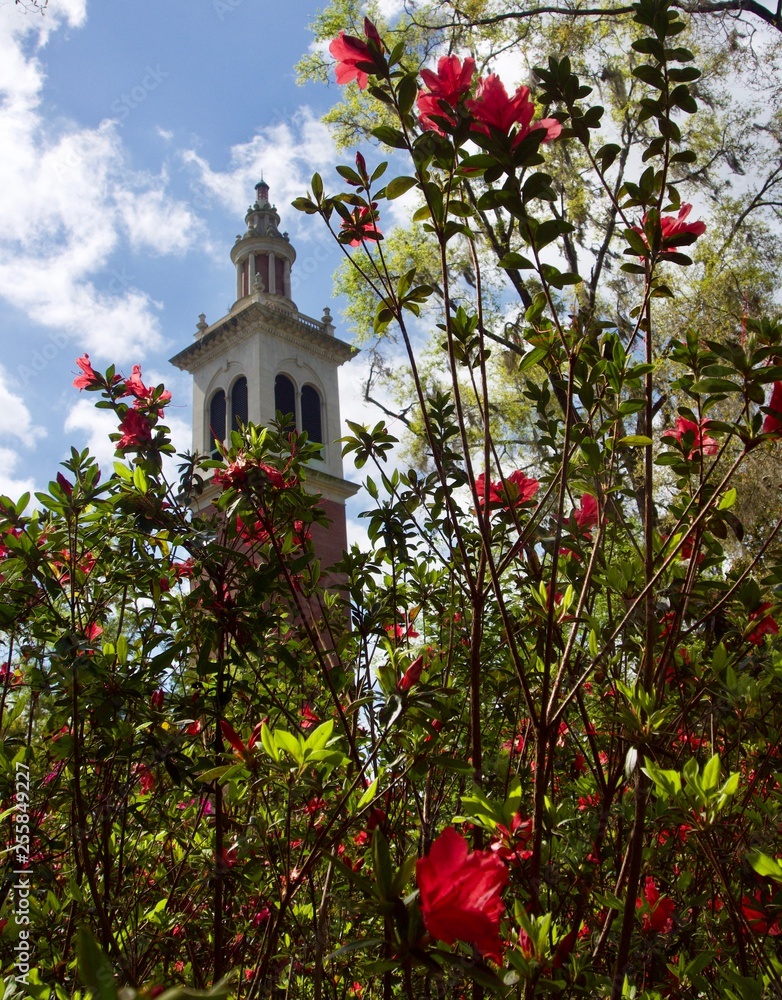 Carillon Tower Surrounded by Flowering Red Azaleas