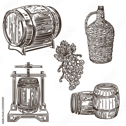 Hand drawn wine making elements 
