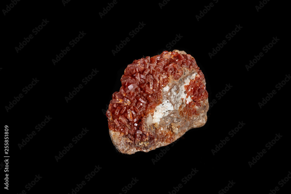 Macro mineral stone Vanadinite on a black background Macro mineral stone Vanadinite on a black background