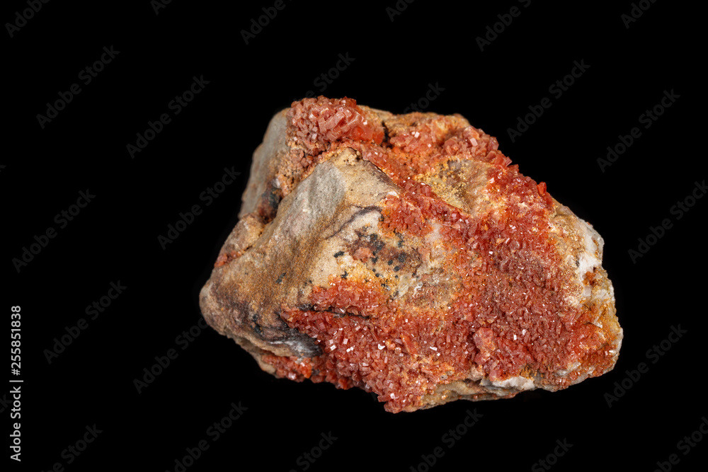 Macro mineral stone Vanadinite on a black background Macro mineral stone Vanadinite on a black background