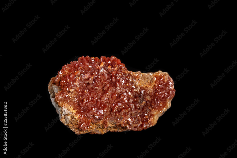 Macro mineral stone Vanadinite on a black background Macro mineral stone Vanadinite on a black background