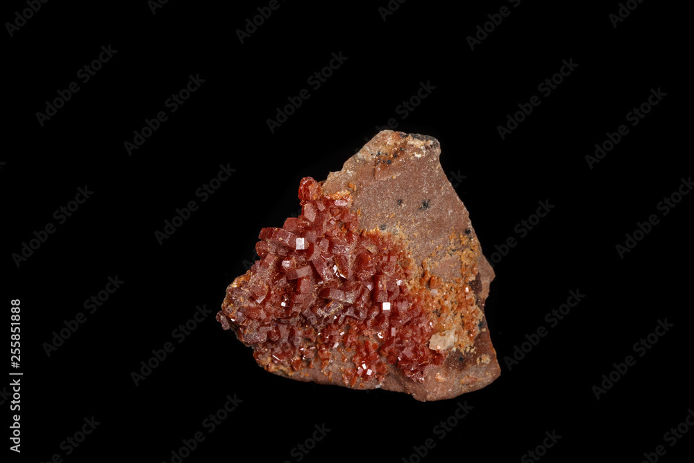 Macro mineral stone Vanadinite on a black background Macro mineral stone Vanadinite on a black background