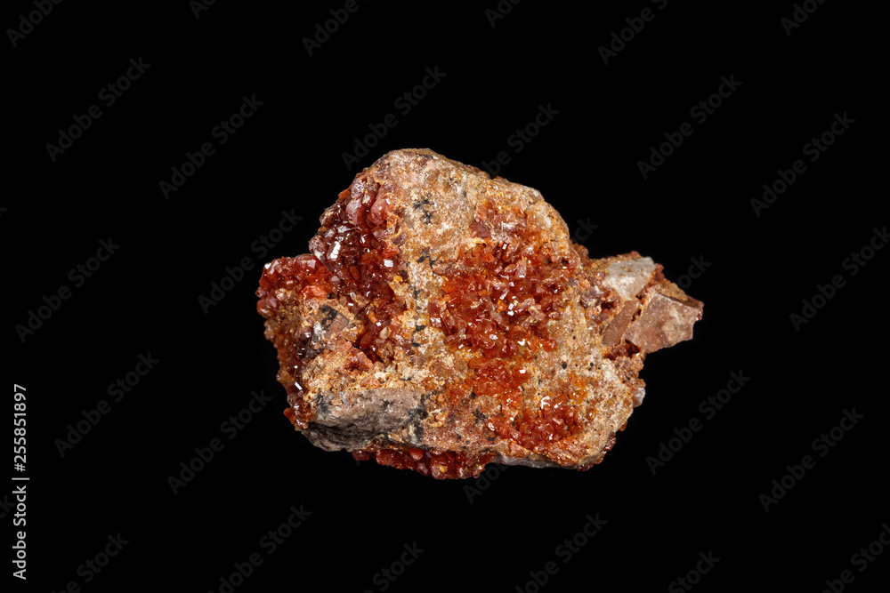 Macro mineral stone Vanadinite on a black background Macro mineral stone Vanadinite on a black background