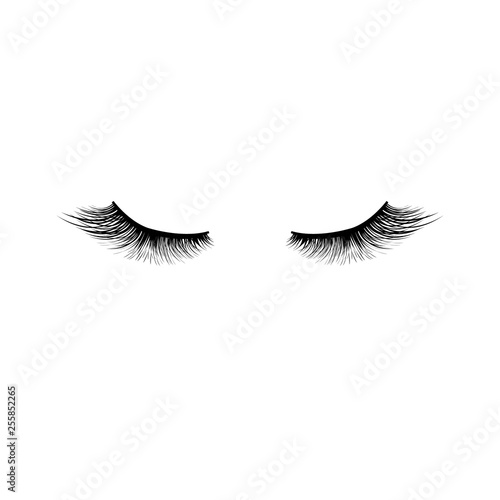 Eyelashes Icon Isolated