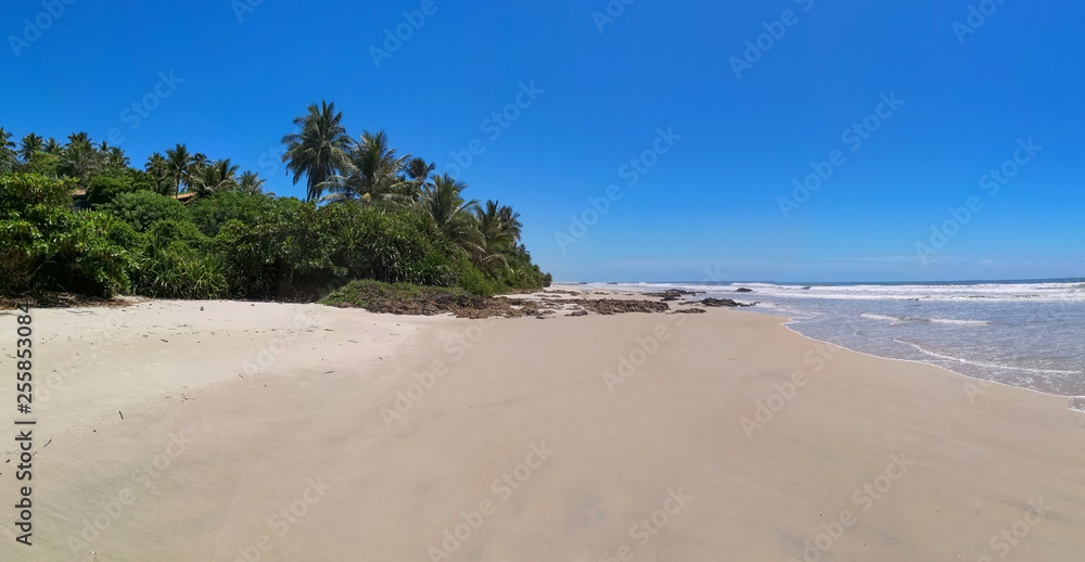 Tropical landscape - deserted beach with coconut trees and rocks Tropical landscape - deserted beach with coconut trees and rocks