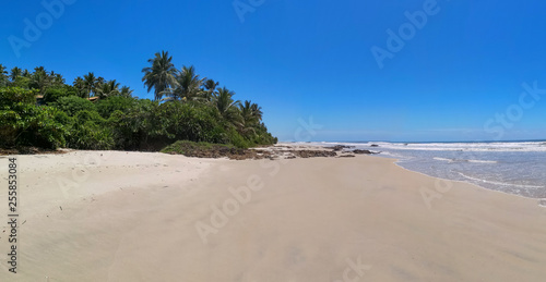 Tropical landscape - deserted beach with coconut trees and rocks