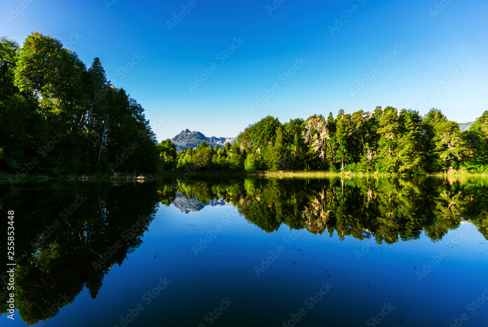 Colorful nature scenic photo of blue water surface of a lake with reflection of forest and Andes mountains in Patagonia, Argentina