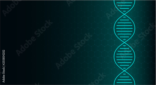 Abstract DNA molecule, neon helix on green background. Medical science, genetic, biotechnology, chemistry, biology.