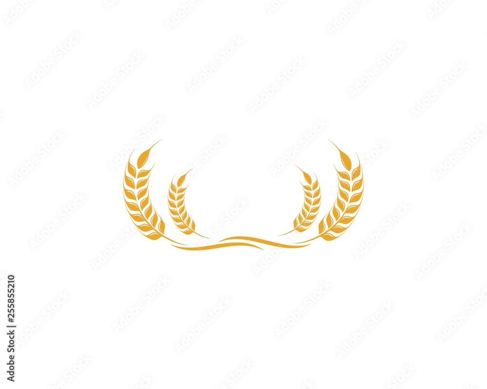 Agriculture wheat Logo Template vector icon Agriculture wheat Logo Template vector icon