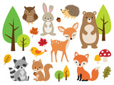 Vector illustration of cute woodland forest animals including deer, rabbit, hedgehog, bear, fox, raccoon, bird, owl, and squirrel.