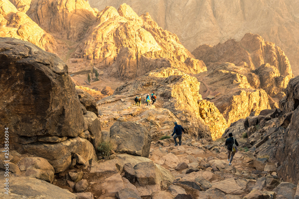 Fototapeta premium Middle East or Africa, picturesque bare mountain range and a large sandy valley desert landscapes landscape photography