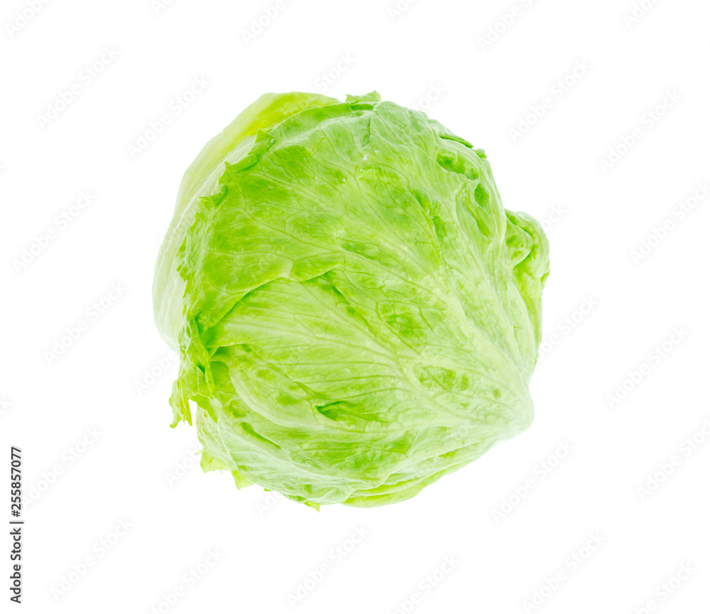 Iceberg lettuce head isolated on white background. Iceberg lettuce head isolated on white background.