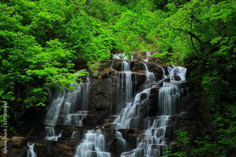 夏の滝 夏の滝
