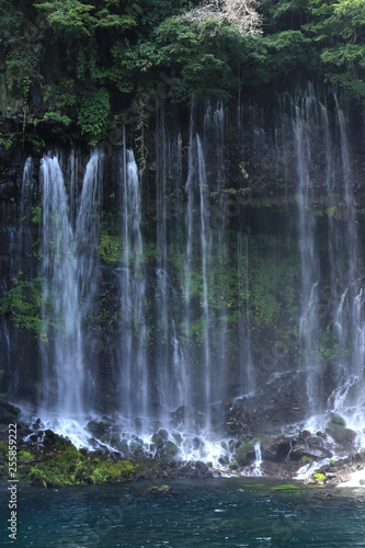 静岡_白糸の滝