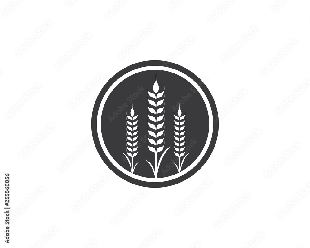 Agriculture wheat Logo Template vector icon