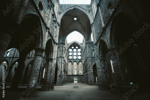 Obraz na płótnie Abbaye de Villers, Wallonia, Belgium w salonie