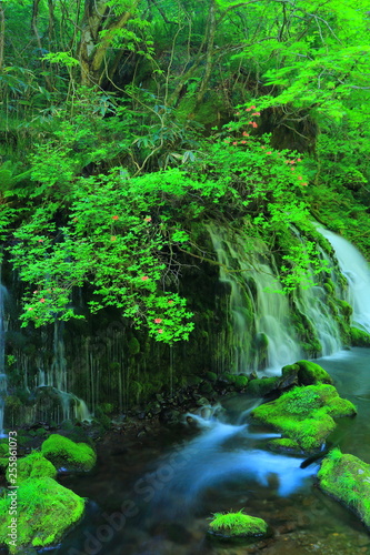 新緑の滝