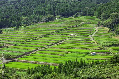 宮崎-坂元棚田