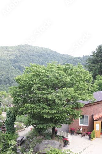 house in the mountains
