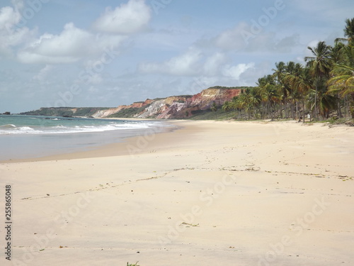 Praia do Gunga - Alagoas