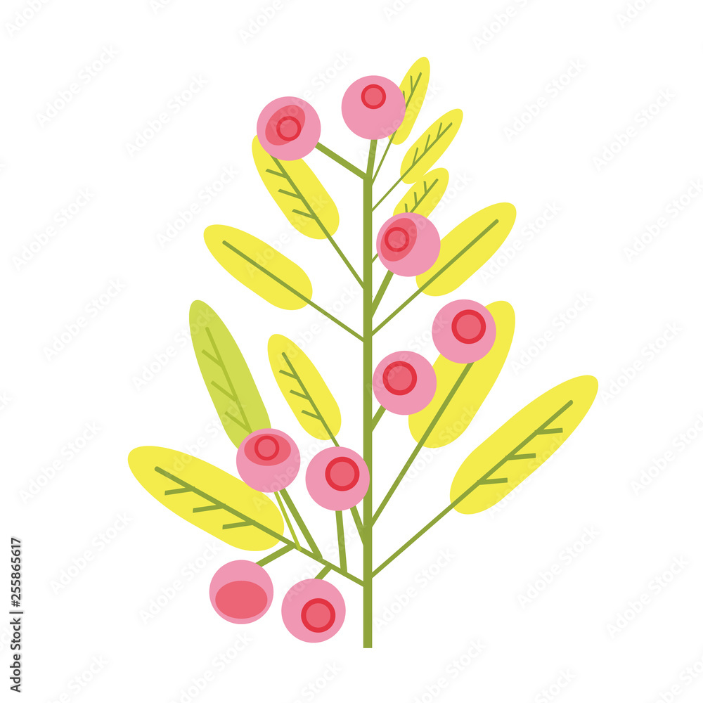 red berries scandinavian flat illustration red berries scandinavian flat illustration