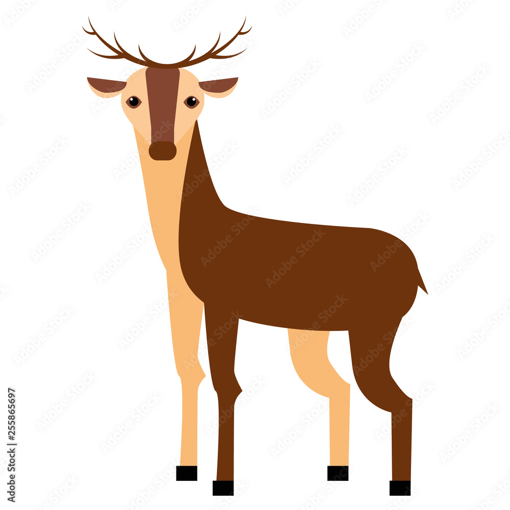 Fototapeta premium deer flat illustration