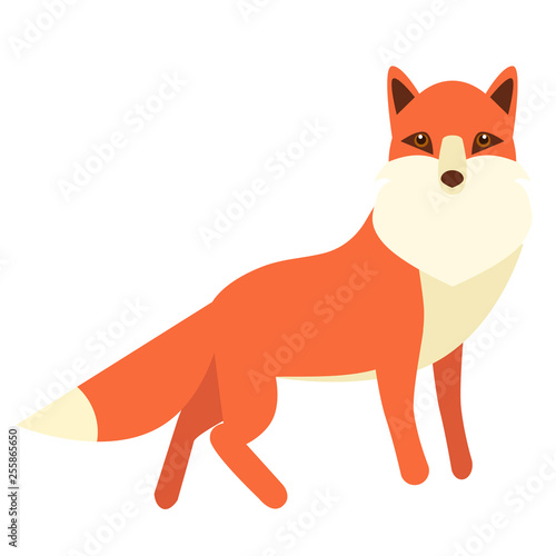 fox flat illustration