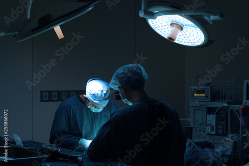 two of veterinarian surgery in operation room take with art lighting and blue filter