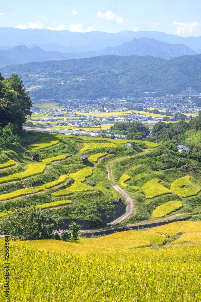 長野-稲倉