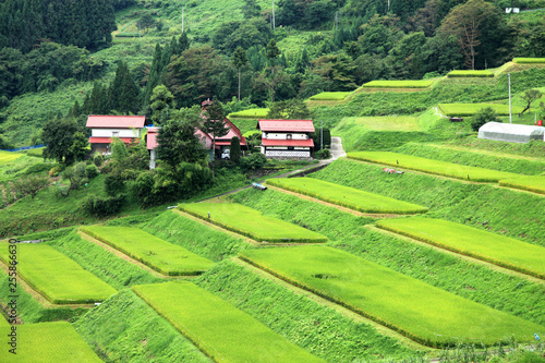 長野-中条村-栃倉 photo