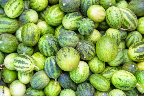 View of fresh ripe green small watermelons. Fruit background