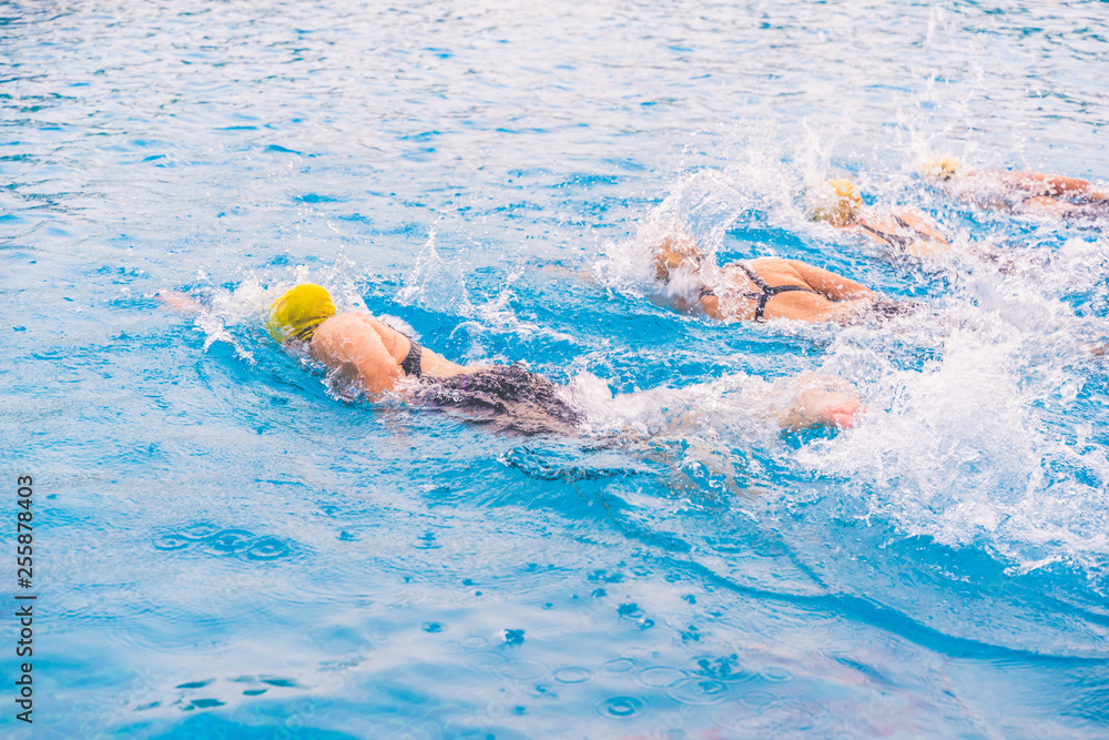 Group people in wetsuit swimming at triathlon. Swimming pool blue color clear water and people enjoying in summer sunny day and top view angle.
