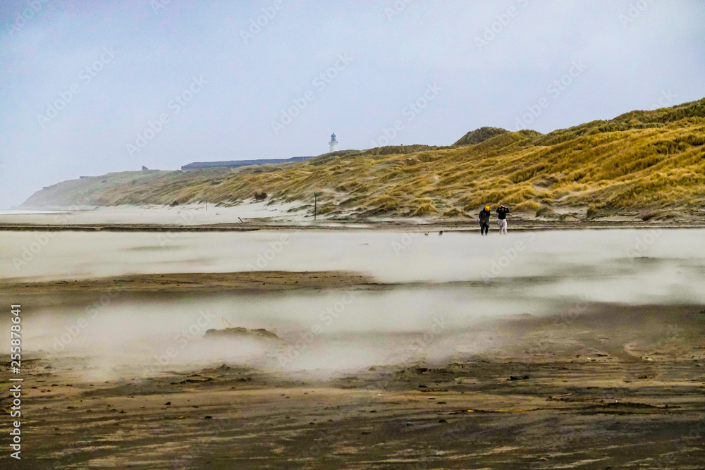Hirtshalls, Denmark A windy beach on a winter day.