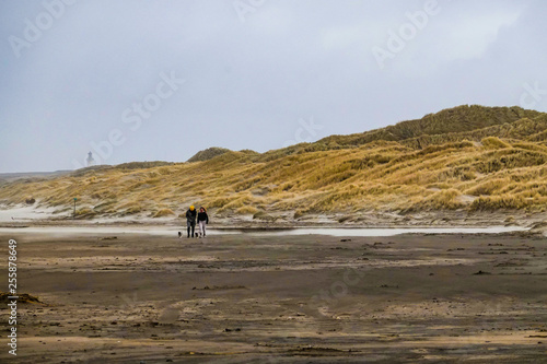 Hirtshalls, Denmark A windy beach on a winter day.