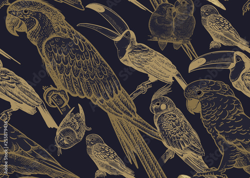 Seamless vector background. Parrots and toucans.