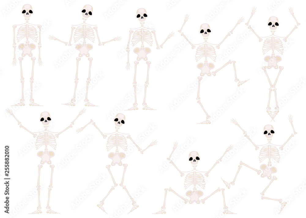 Funny cartoon skeletons character danceand and gymnastics Funny cartoon skeletons character danceand and gymnastics