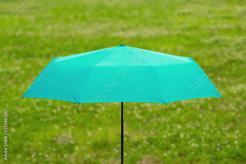 an umbrella on the grass