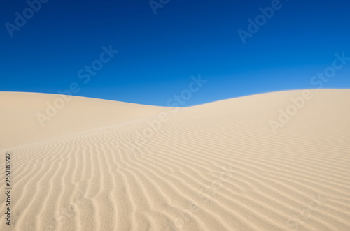 sand desert and blue sky background