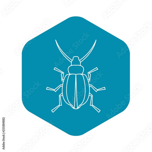 Beetle insect icon. Outline illustration of beetle insect vector icon for web