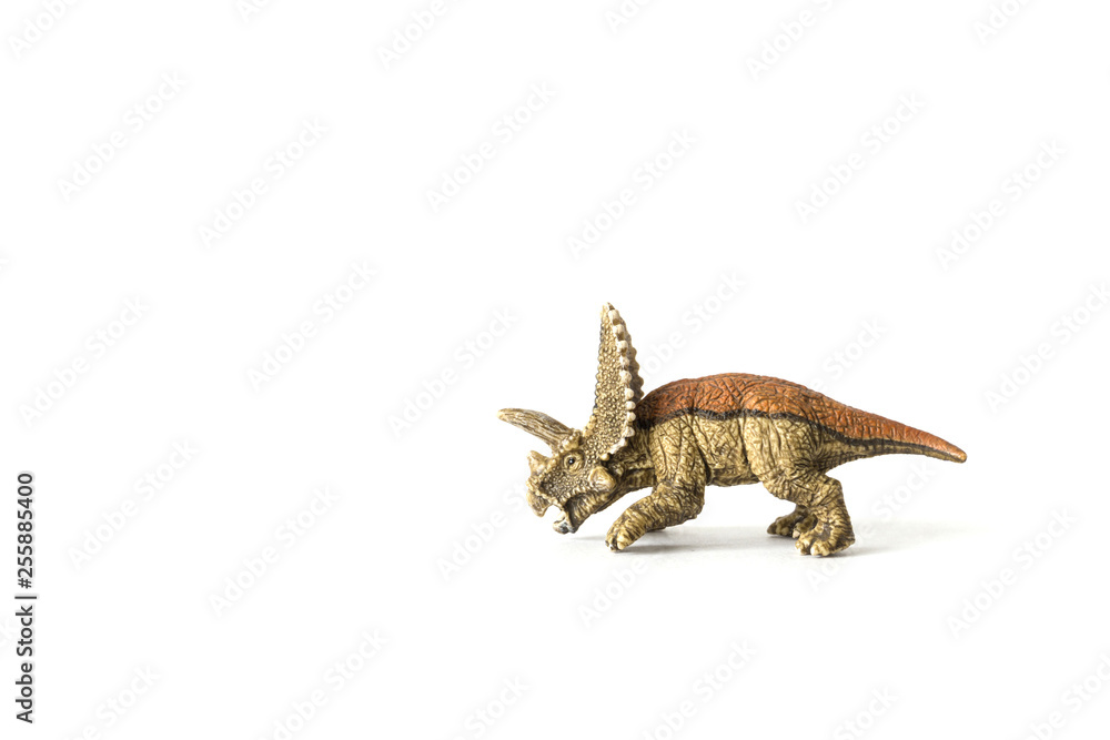 Fototapeta premium cute triceratops flaunts on camera