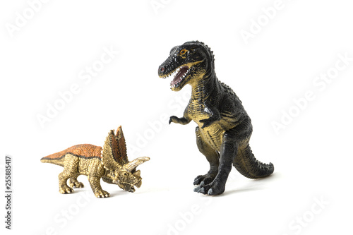 various dinosaurs figure out the relationship